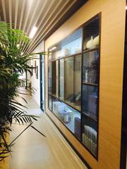 Cooling System Flushing And Ch - Coolant Flush Machine 评论和价格